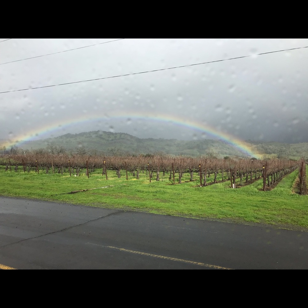 Meet your Posher, Hope